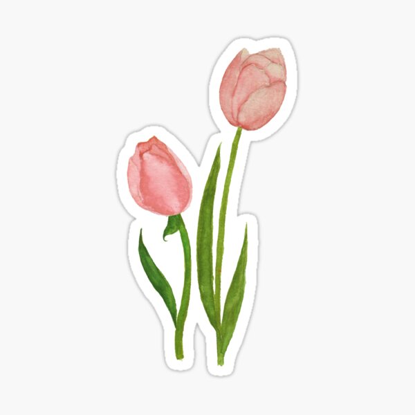 Tulip Gifts Merchandise Redbubble