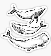 Whales in black Sticker