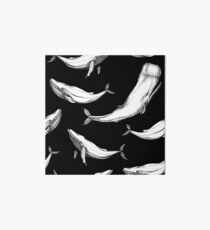 Whales in black Art Board