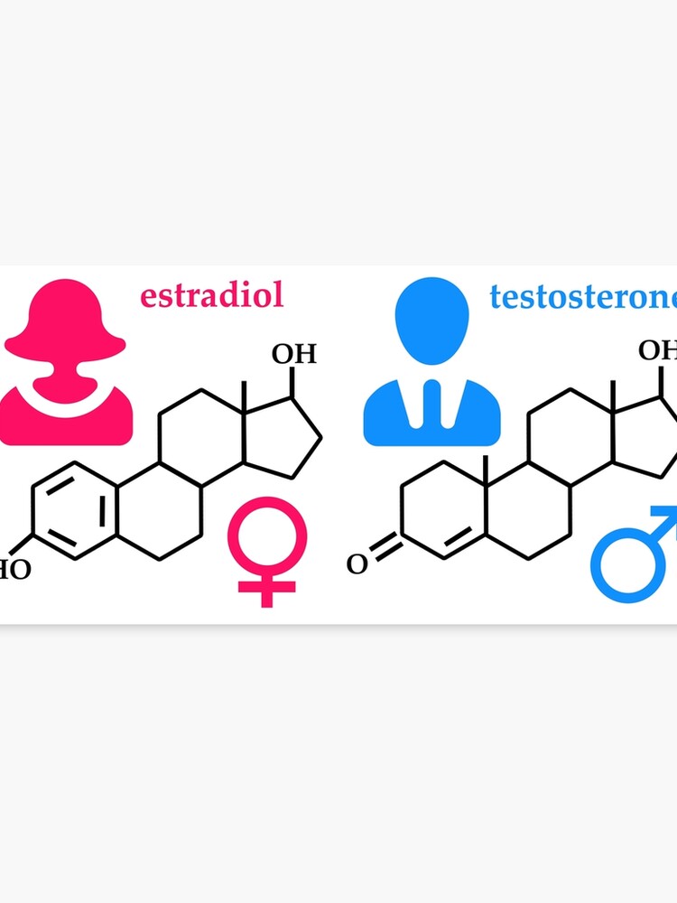 Mujer hormona y hombre de la del testosterona