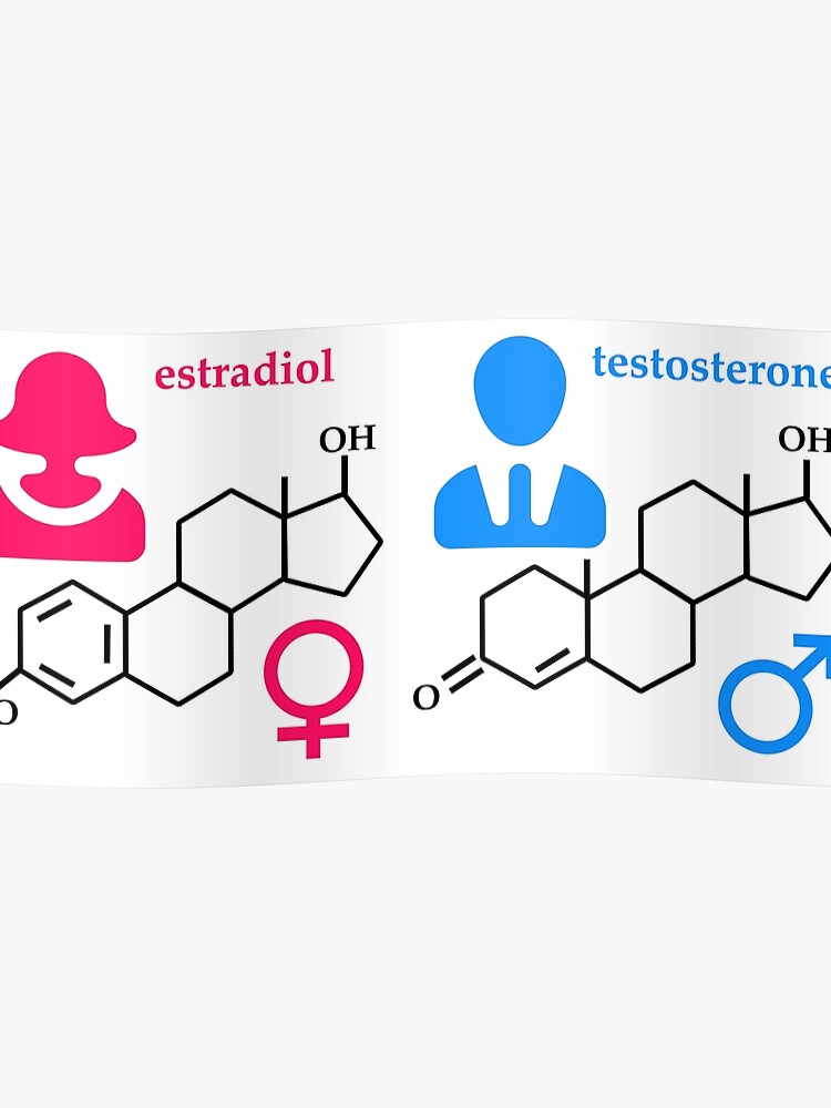 Hormona del hombre testosterona y de la mujer