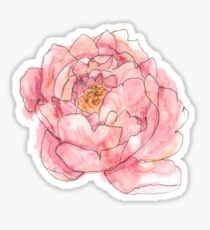 Peony Sticker