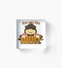 Are you the Mole Acrylic Block