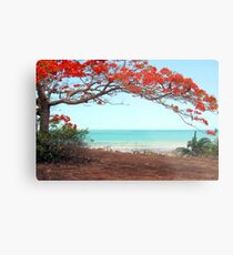 Flame Tree Metal Print