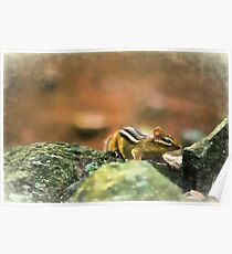 Chipmonk Poster