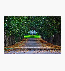 Augusta National Golf Club Photographic Print