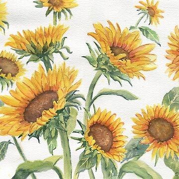 Artwork thumbnail, Blooming Sunflowers by MellyTerp