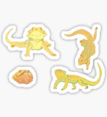 bearded dragons Sticker