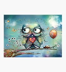 little wood owl Photographic Print