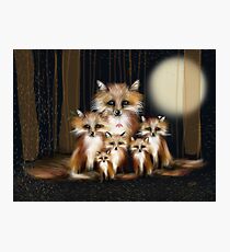 Fox Family Photographic Print