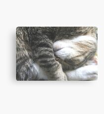 Sleeping Funny Canvas Print