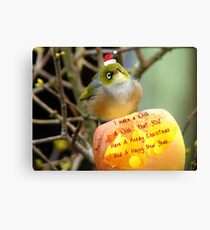 I Make A Wish... - Silver-Eye - NZ Canvas Print