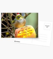 I Make A Wish... - Silver-Eye - NZ Postcards