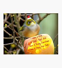 I Make A Wish... - Silver-Eye - NZ Photographic Print