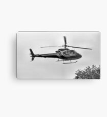 Flying Low Metal Print