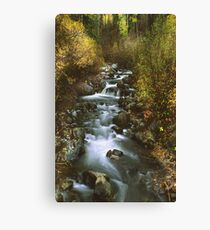 Brush Creek Canvas Print
