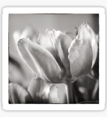 Tulip Glow Sticker