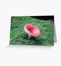 Shroom Greeting Card