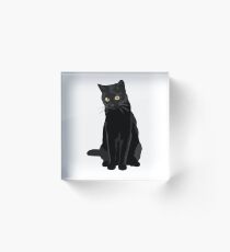 Schwarze Katze Acrylblock