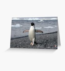 Proud Penguin Greeting Card