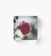 Rose Acrylic Block