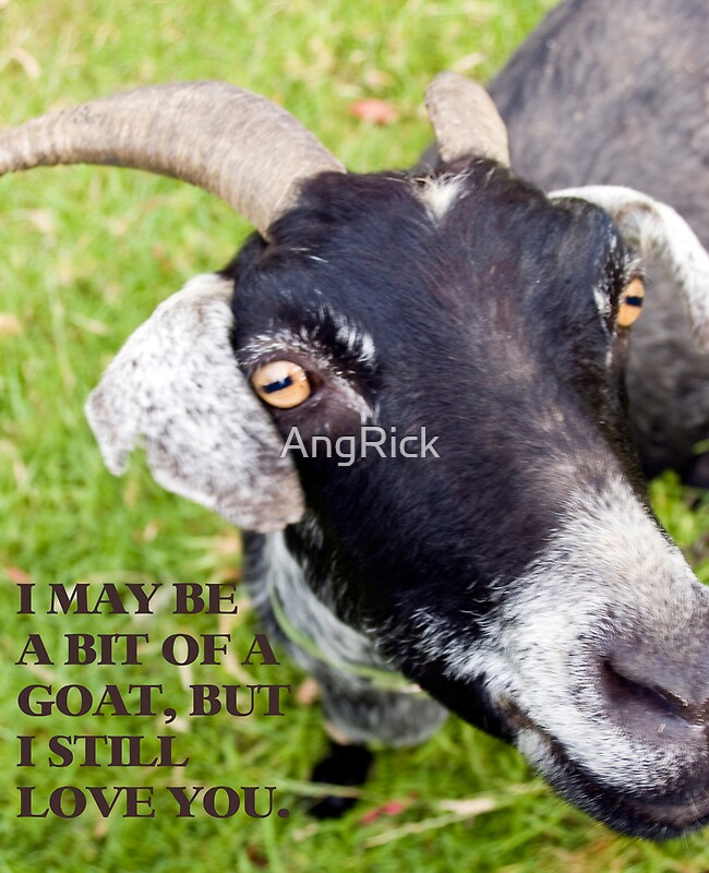 goat-valentines-card-greeting-cards-by-angrick-redbubble
