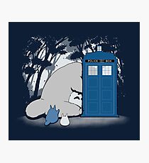 Curious Forest Spirits Photographic Print