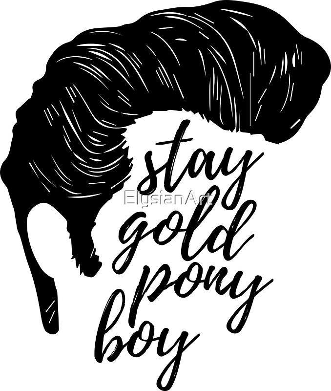 is ponyboy a flat or round character is ponyboy a flat or round character