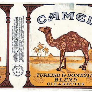 Vintage Camel Cigarette Pack Canvas Print