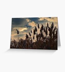 Sunset dancers Greeting Card
