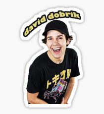 David Dobrik: Stickers | Redbubble