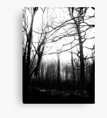 Desolate Canvas Print