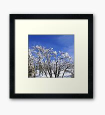 ice ice baby Framed Print
