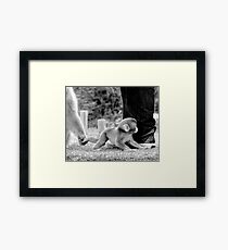 Protection Framed Print