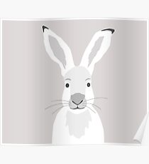 Hase Poster