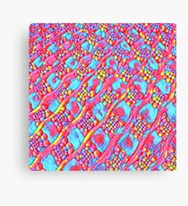 The Candy Shop Canvas Print