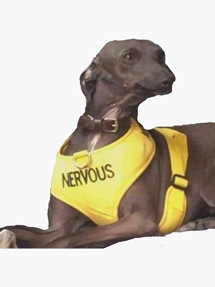 "Nervous dog " Sticker by sageanderss Redbubble