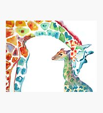 Giraffe Mama und Baby Fotodruck