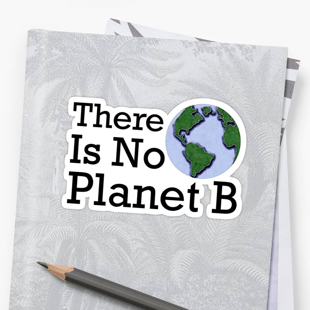 there-is-no-planet-b-sticker-by-stillmeadow-redbubble