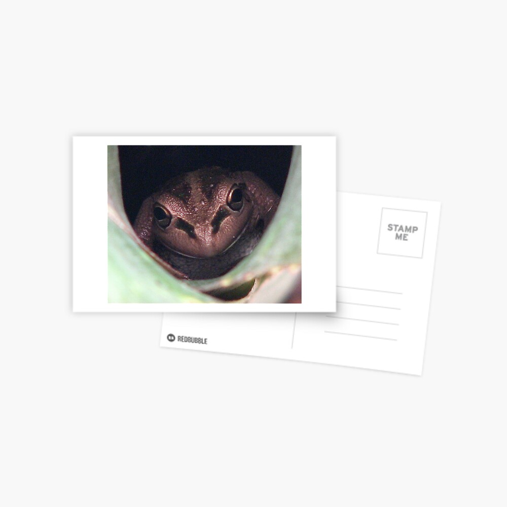 KISSES ??? Postcard