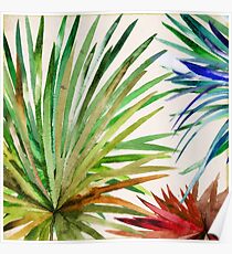 Rio Five Poster