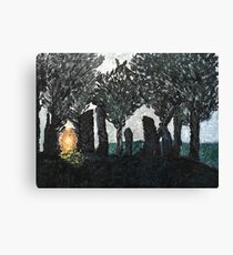 Through the Stones Canvas Print