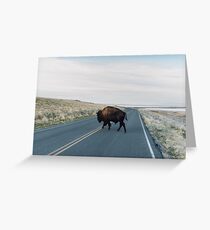 Seldom is Herd Greeting Card