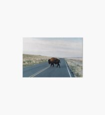 Seldom is Herd Art Board Print