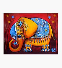 The Littlest Elephant Photographic Print