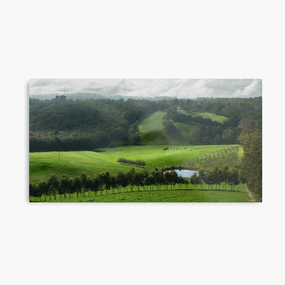 Adelaide Hill's in Green. Metal Print