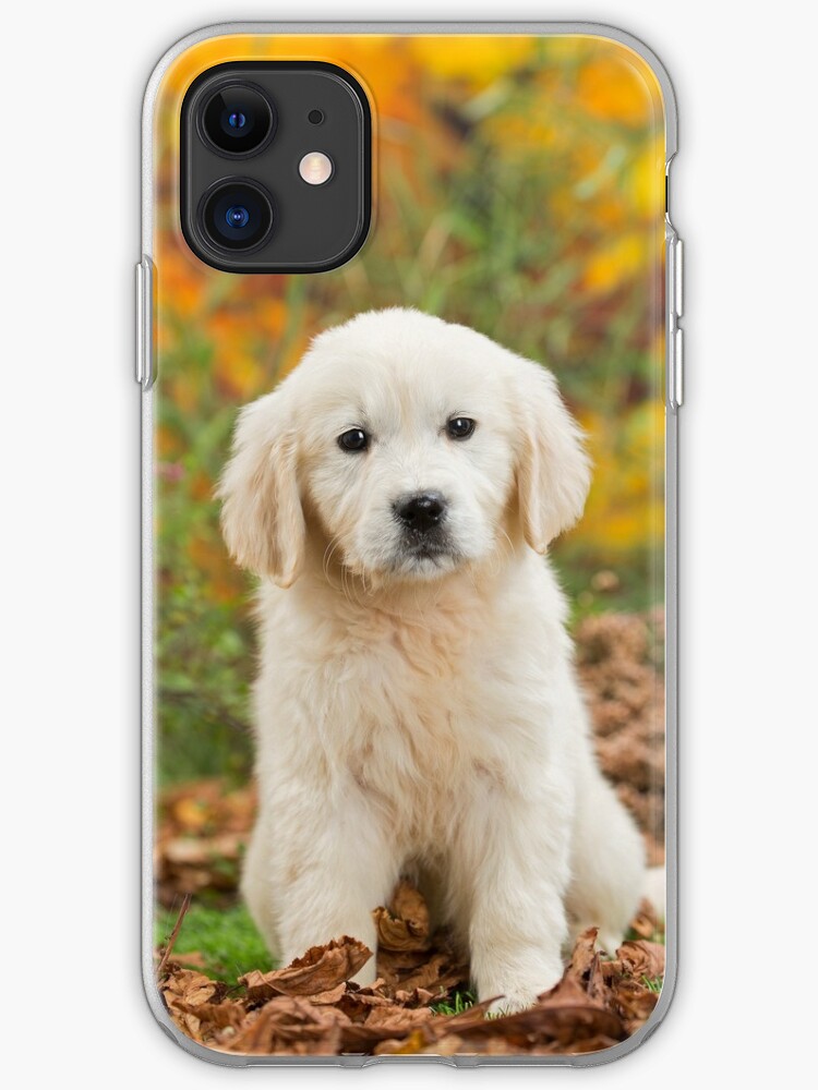 Cute Golden Retriever Puppy Sitting Iphone Case Cover By