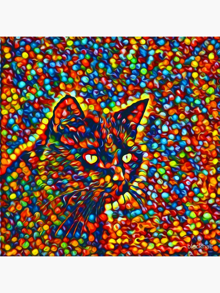 Cat by blackhalt