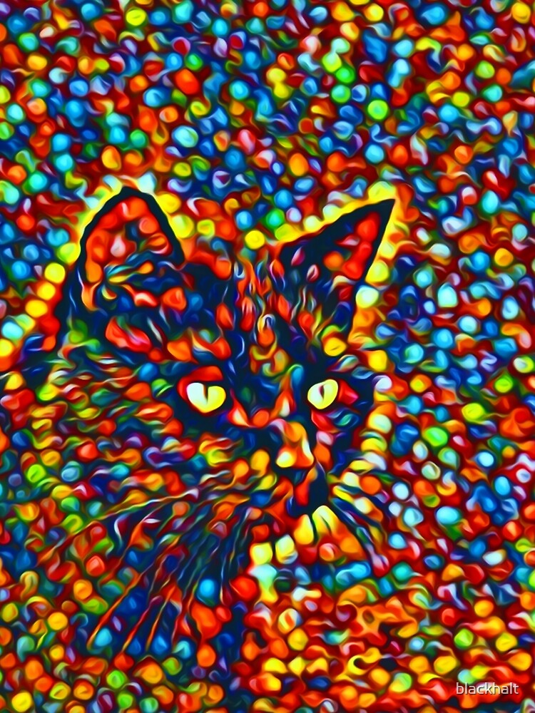 Cat by blackhalt