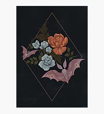 Botanical - moths and night flowers Photographic Print